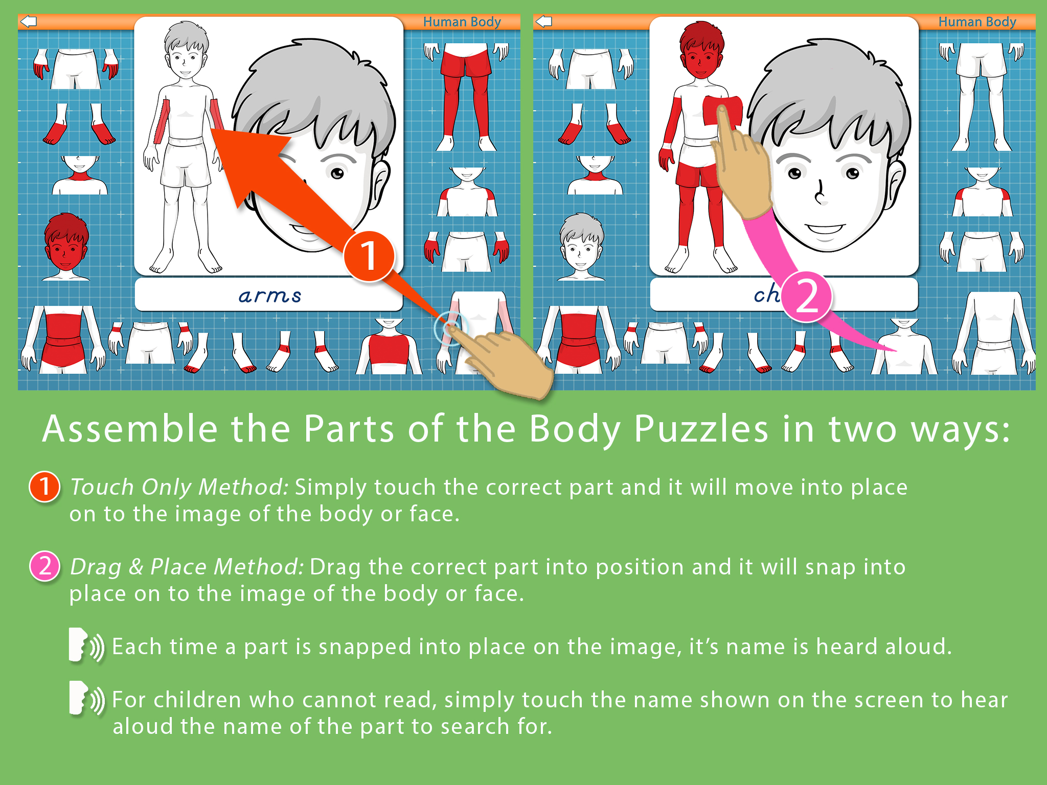 PartsofBody-SC3-Reg.png