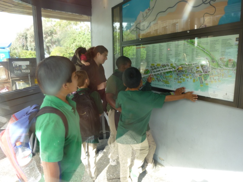 School 5.jpg