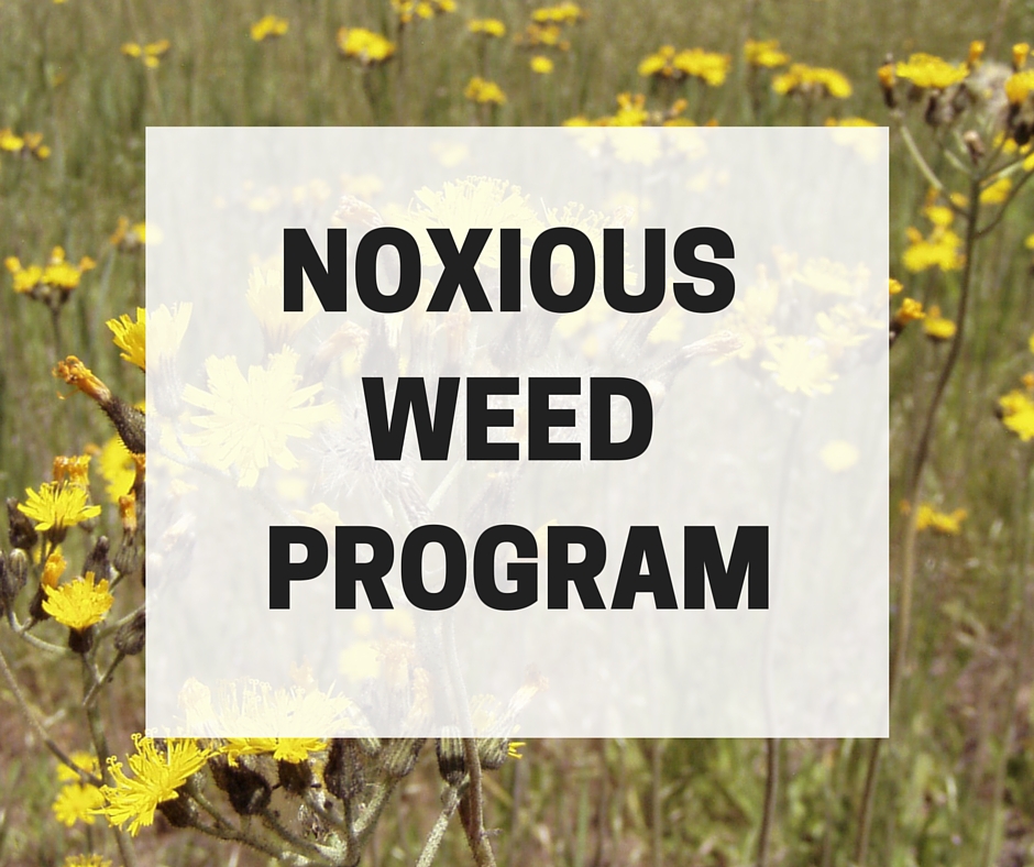 NoxiousWeedProgram.jpg
