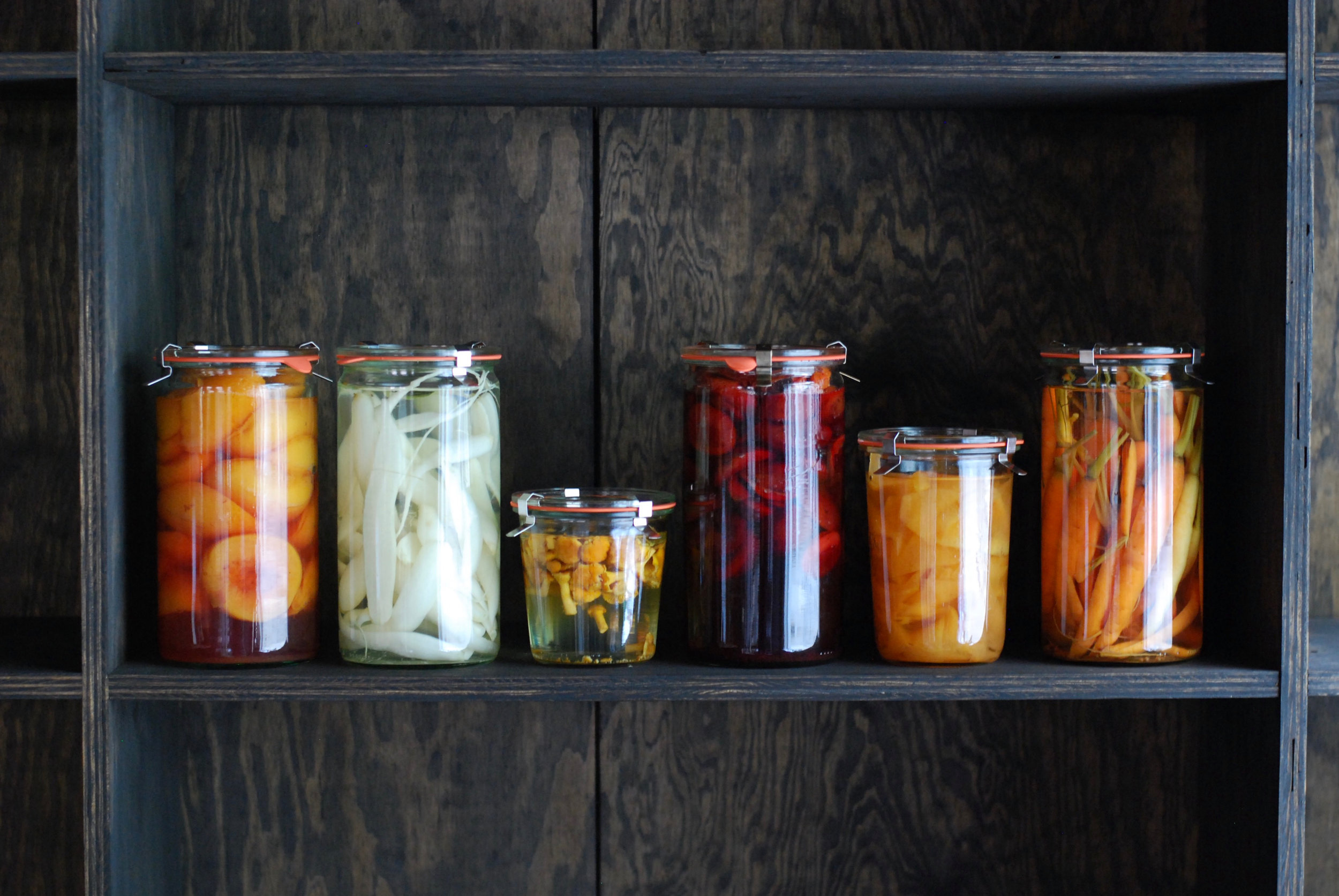 Shelf Life / Fall 2017