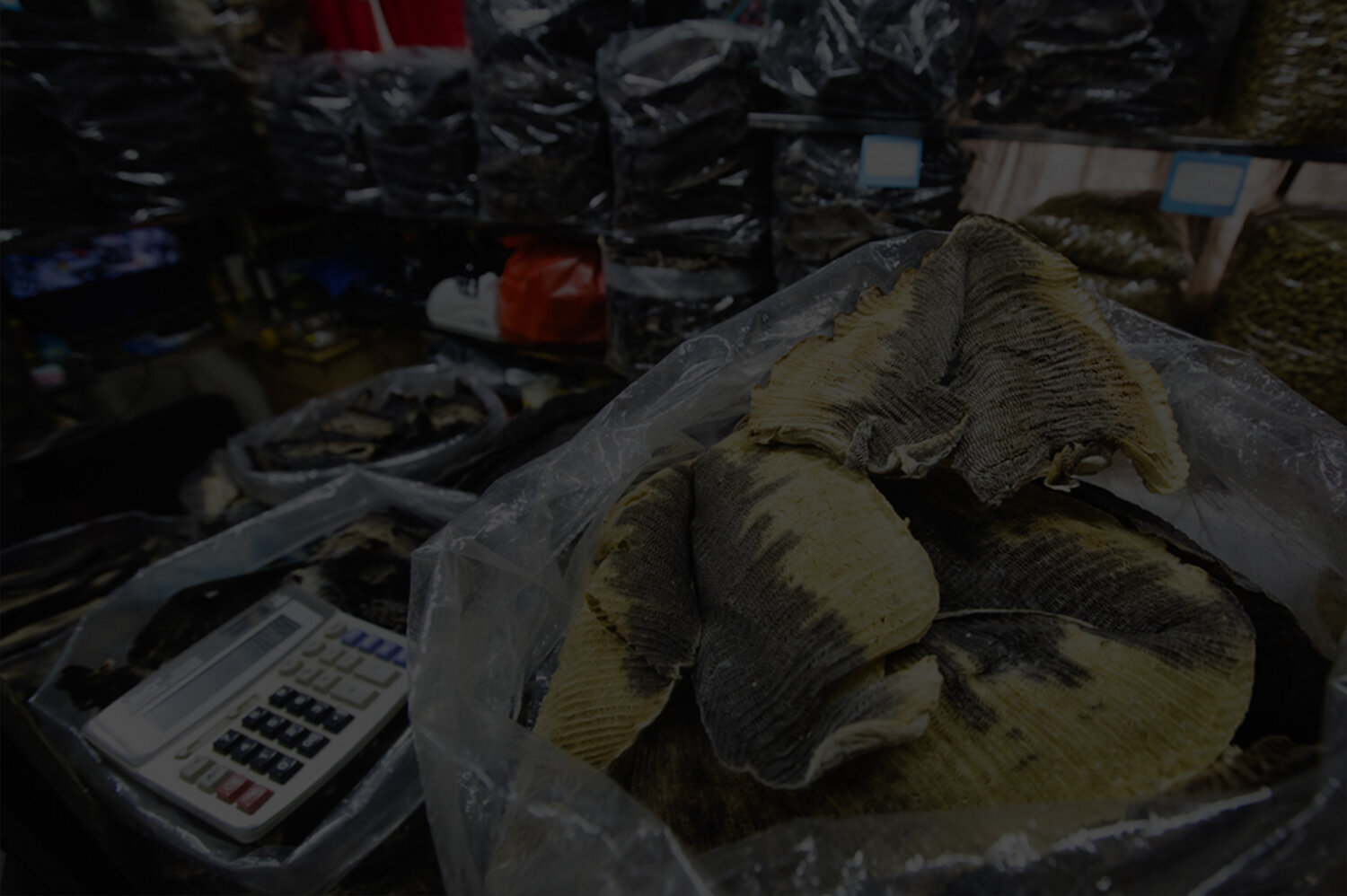 Threats_Background Overlay_Gill Plates In China.jpg