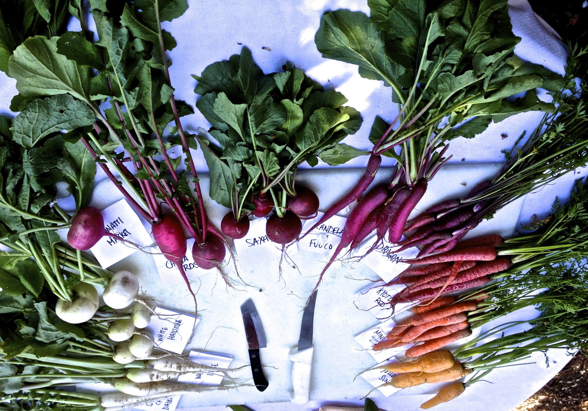Behind the Cookbook: The Savory Way