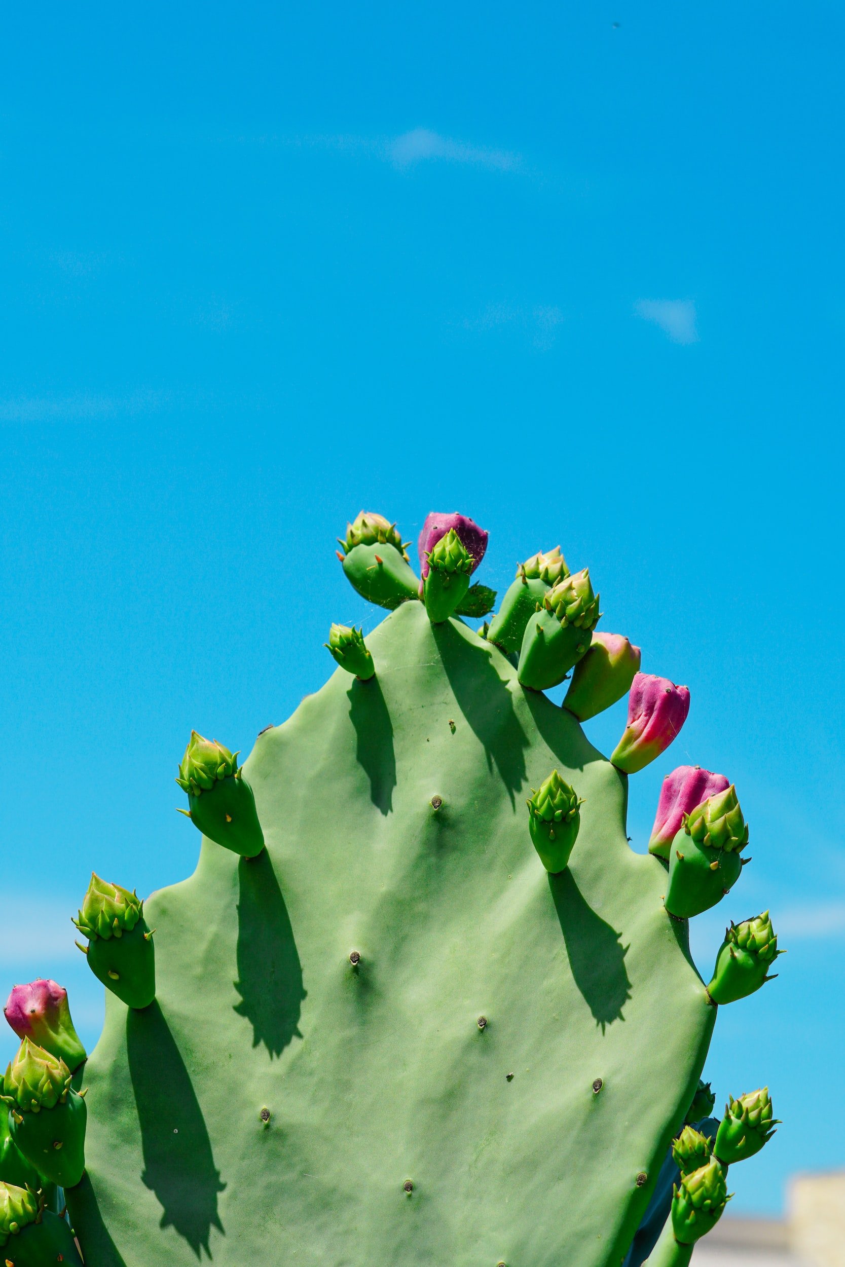 unsplash-image-hbHDhO1dI3Y.jpg