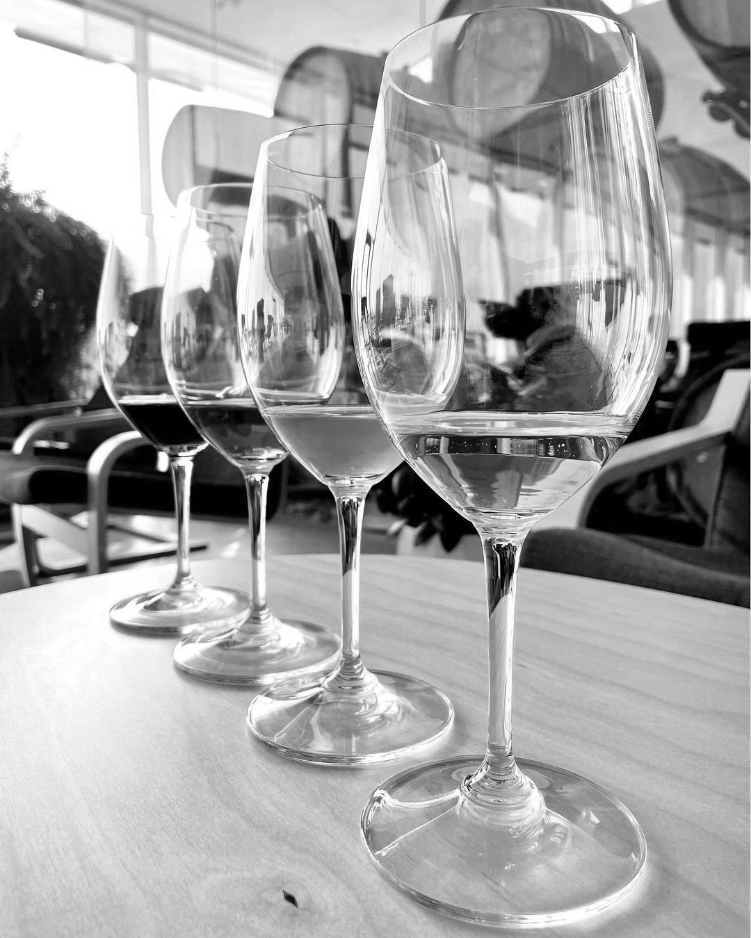 Toronto | First Sips of Spring with Southbrook