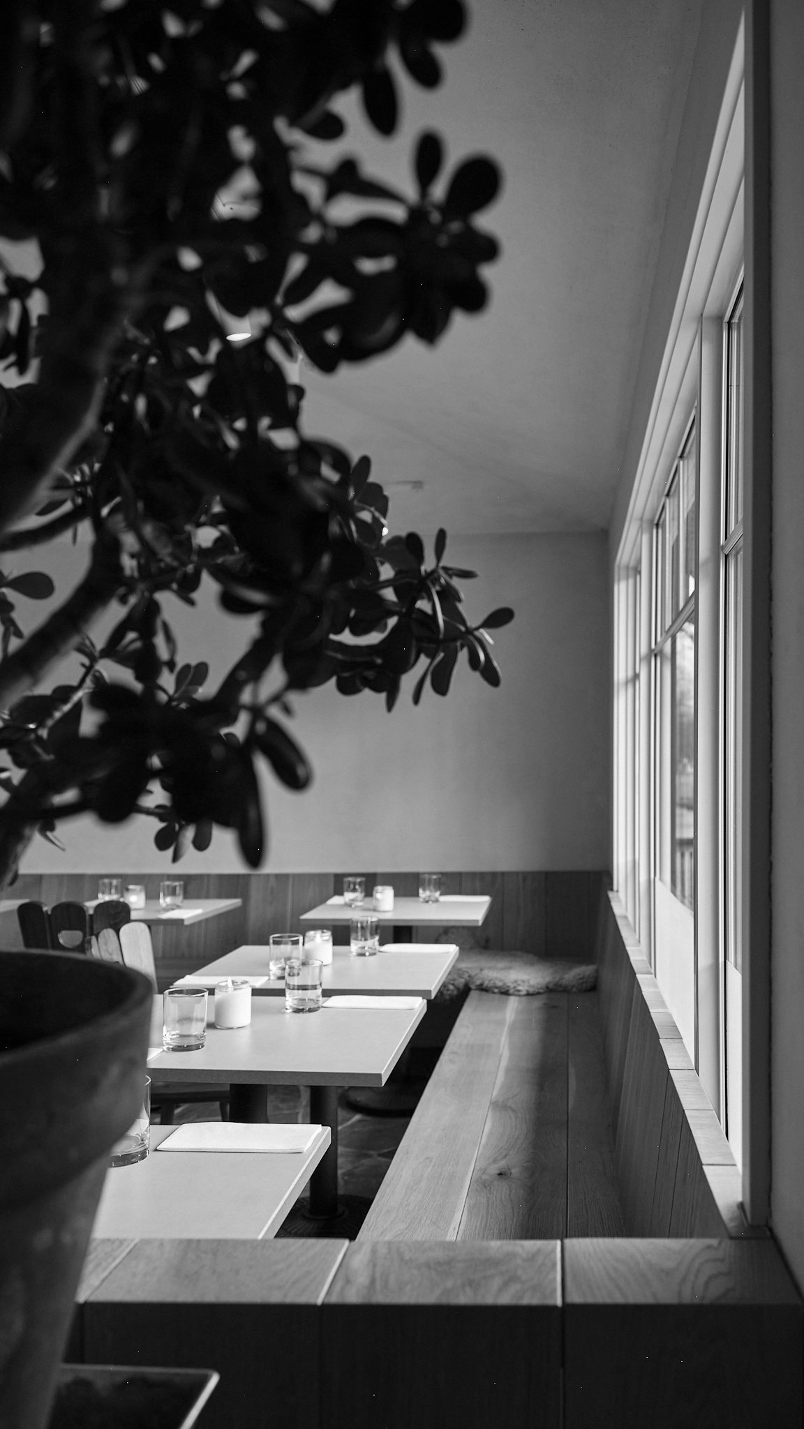ON | Dinner Party at RPM Bakehouse ~ Pearl Morissette's Bakery & Bistro