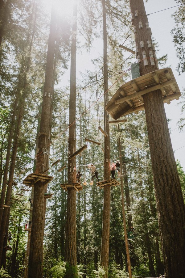 WildPlay Maple Ridge Adventure Course Small.jpg
