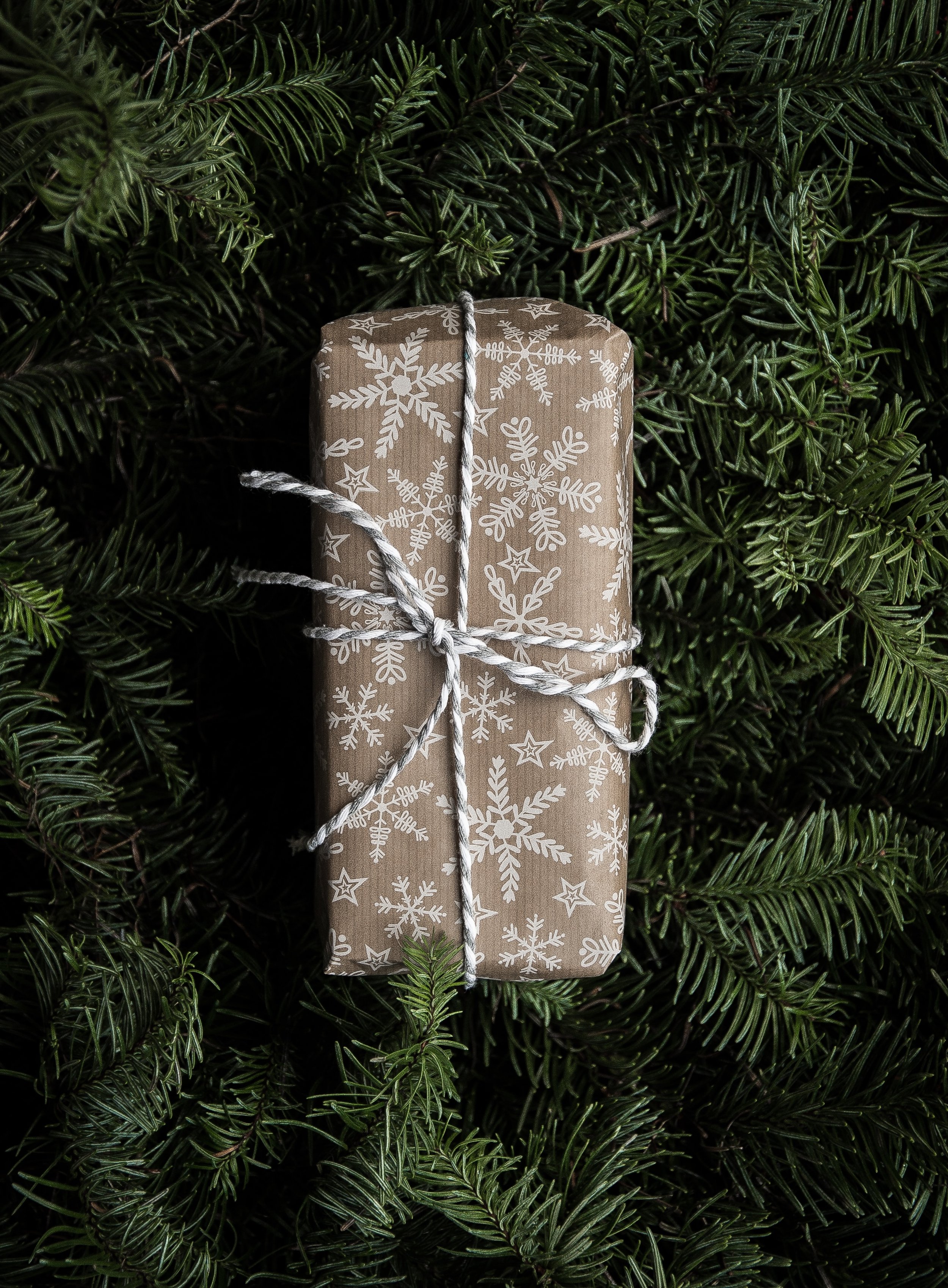 Cano’s Sustainable Holiday Gift Guide 2022 🎄