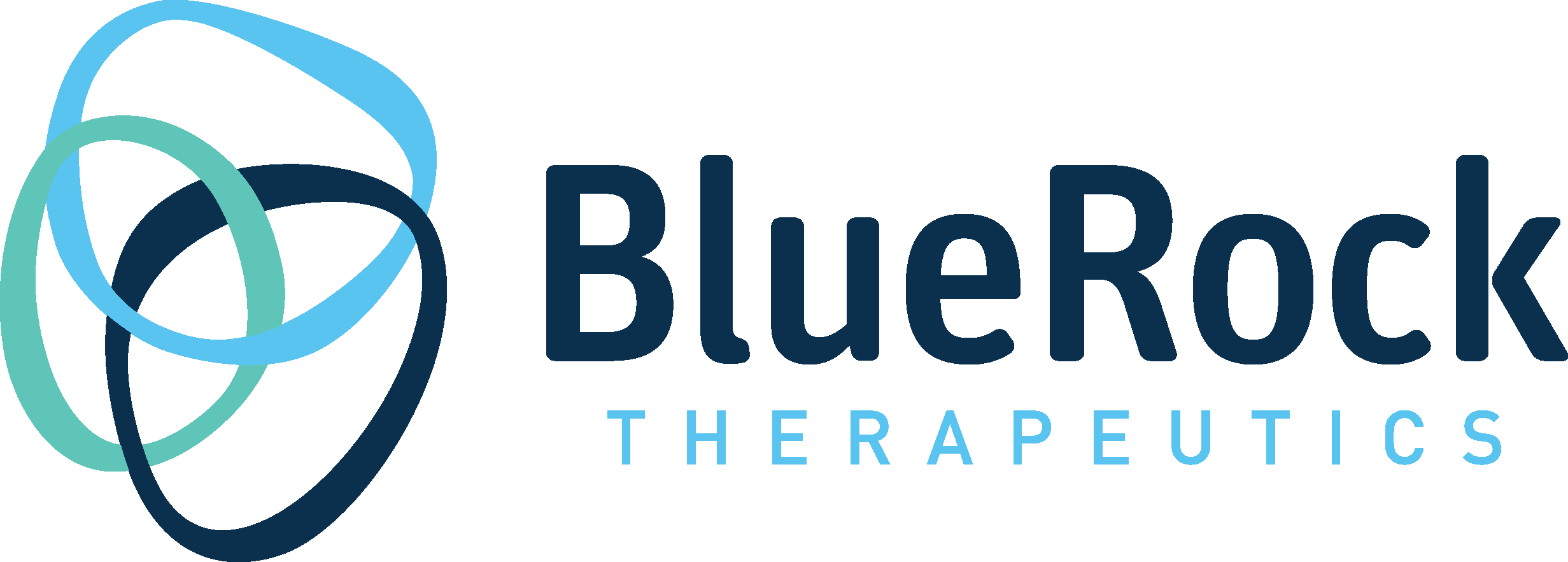 Diamond Sponsor