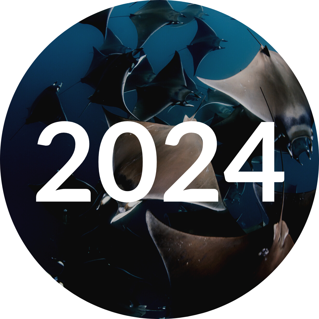 Research Portal Timeline Buttons (1).png